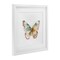 Stupell Industries Muted Watercolor Butterfly Framed Print Under Glass, design by Kim Allen